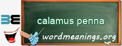 WordMeaning blackboard for calamus penna